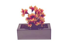 Vaso Cachepot Fumê Espelho Plantas Luxo Decoração Vaso Cachepot Fumê Espelho Plantas Luxo Decoração