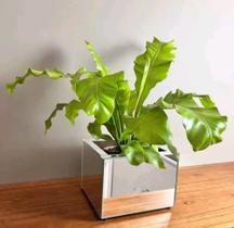 Vaso Cachepot Prata Espelhado Plantas Luxo Decoração Vaso Cachepot Prata Espelhado Plantas Luxo Decoração