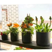 Vaso celine preto plastico uv e po de pedra com drenagem m Vaso celine preto plastico uv e po de pedra com drenagem m