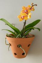 Vaso Cerâmica Artesanal Barro Parede Orquídea Planta 19x21cm Marrom-claro Cerâmico Vaso Cerâmica Artesanal Barro Parede Orquídea Planta 19x21cm Marrom-claro Cerâmico