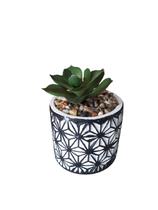 Vaso Cerâmica Desenhado Com Suculenta