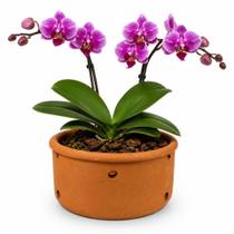 Vaso Cerâmica Furado Orquídea 13x25cm Vaso Cerâmica Furado Orquídea 13x25cm