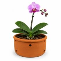 Vaso Cerâmica Furado Orquídea 9x18cm Vaso Cerâmica Furado Orquídea 9x18cm