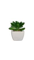Vaso Cerâmica Planta Artificial Suculenta Lisa