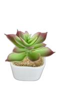 Vaso Cerâmica Planta Artificial Suculenta Orelha de Elefante