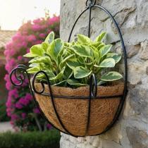 Vaso Cesto Parede Suspenso Fibra Coco Natural Planta Suporte Flor Orquidea
