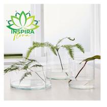 Vaso Cilindro De Vidro Tubo 10x20 Para Decoração Arranjos Atemporal