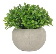 Vaso Cimento Queimado Suculenta Artificial Decoração Mesa