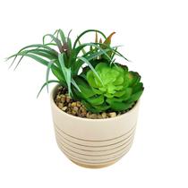 Vaso Com Arranjo De Suculenta 17X13X13Cm Planta Artificial