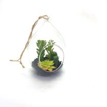Vaso com cacto de vidro suspenso