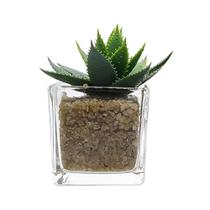 Vaso Com Planta Artificial 10x5cm Em Vidro - Livon
