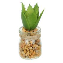 Vaso Com Suculenta Folha Alta Verde Escuro 10X7 Cm - Du0027Rossi Vaso Com Suculenta Folha Alta Verde Escuro 10X7 Cm - Du0027Rossi