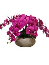 Vaso Completo Arranjo Lagoon Nude Com 6 Orquídeas Rosas Permanente- M