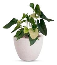 Vaso Cone Baixo 22 Branco Mármore