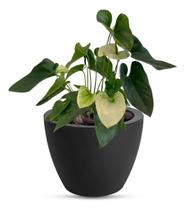 Vaso Cone Baixo 28 Preto Absoluto