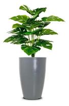 Vaso Cone Liso 45 Cinza Claro