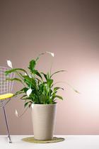 Vaso Cônico Capri 38x28cm