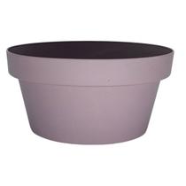 Vaso Cuia Bari Eco (10x5) Cor Violeta Vintage OKLA Vaso Cuia Bari Eco (10x5) Cor Violeta Vintage OKLA