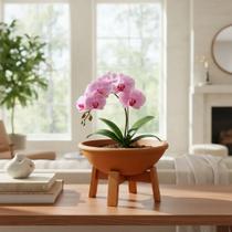Vaso De Barro Suporte De Madeira Para Plantas Orquídeas Flor Vaso De Barro Suporte De Madeira Para Plantas Orquídeas Flor