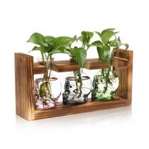 Vaso de caveira de Halloween para estações de propagação de terrários de plantas Vaso de caveira de Halloween para estações de propagação de terrários de plantas