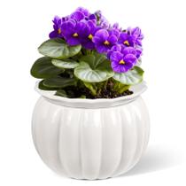 Vaso de cerâmica autoirrigável LITUDISO 15 cm branco Vaso de cerâmica autoirrigável LITUDISO 15 cm branco