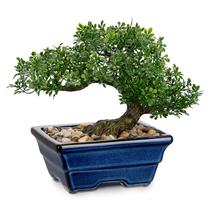 Vaso de cerâmica azul Briful de 23 cm de árvore de bonsai artificial