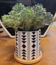 Vaso de Cerâmica Branco base de Madeira com pick verde Artificial 15cm Vaso de Cerâmica Branco base de Madeira com pick verde Artificial 15cm