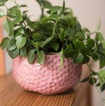 Vaso de Cerâmica Bubuia - Rosa Vaso de Cerâmica Bubuia - Rosa