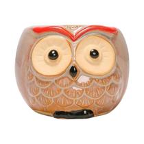 Vaso De Cerâmica Em Forma De Coruja, Plantador De Suculentas Fofo, Decoração Para Jardim E