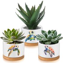 Vaso de cerâmica para decoração de tartarugas marinhas com bandeja de bambu x3