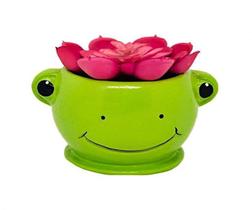 Vaso De Ceramica Sapo Feliz Verde Para Suculenta E Flores - Decore Casa - Ou