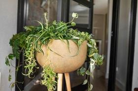 VASO DE CHAO CIMENTO COM PES DE MADEIRA ALINA CAMEL 70cm VASO DE CHAO CIMENTO COM PES DE MADEIRA ALINA CAMEL 70cm