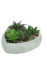 Vaso de concreto c/suculenta coracao cinza