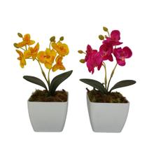 Vaso De Flor Artificial Orquídeas Decorativas Kit Com 2 - Studio11 Flores