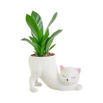 Vaso De Flor Com Cauda De Gato Fofo Miniso Cartoon Para Plantas Suculentas E Cactos Decoração De