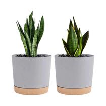 Vaso De Flor Redondo De 6,5 Polegadas 2 Peças Com Fundo Removível Vasos De Flores Destacáveis Para Vaso De Flor Redondo De 6,5 Polegadas 2 Peças Com Fundo Removível Vasos De Flores Destacáveis Para