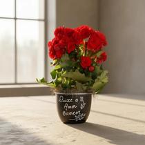 Vaso de Inox Preto Fosco Personalizável para Decoração e Jardinagem