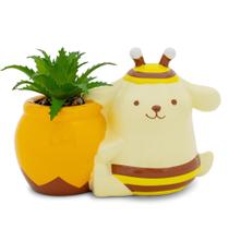 Vaso de mel Mini Planter Sanrio Pompompurin com suculenta artificial Vaso de mel Mini Planter Sanrio Pompompurin com suculenta artificial