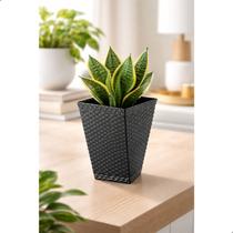 Vaso de Mesa Twister 1 Litro 15x14x9cm Em Plástico Resistente Vaso de Mesa Twister 1 Litro 15x14x9cm Em Plástico Resistente
