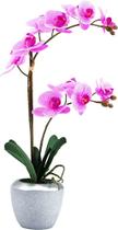 Vaso de Orquídea - Munhoz