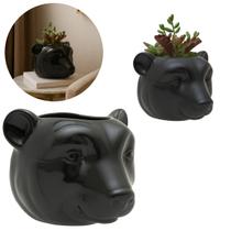 Vaso De Parede Cachepot Urso P/ Plantas Suculentas Cactus
