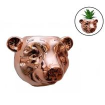 Vaso De Parede Cachepot Urso P/ Plantas Suculentas Cactus