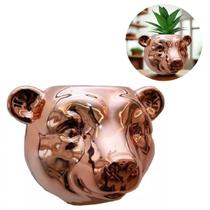Vaso De Parede Cachepot Urso P/ Plantas Suculentas Cactus Vaso De Parede Cachepot Urso P/ Plantas Suculentas Cactus