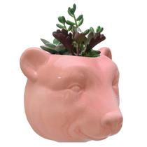 Vaso De Parede Cachepot Urso Rosa Cerâmica - L3 Store