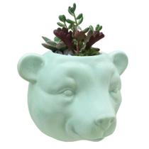 Vaso De Parede Cachepot Urso Verde Cerâmica - L3 Store