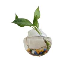 Vaso De Parede Semi-Circular Nórdico Em Vidro, Plantador Hidropônico, Aquário Suspenso, Terrário Vaso De Parede Semi-Circular Nórdico Em Vidro, Plantador Hidropônico, Aquário Suspenso, Terrário
