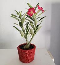 Vaso de pedraria n5