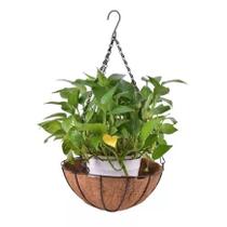 Vaso De Pendurar 30cm Pendente Ferro Fibra Coco Com Corrente