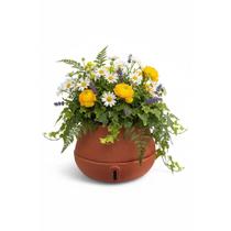 Vaso de Planta Inteligente Autoirrigável Cuia P Decorativo Vaso de Planta Inteligente Autoirrigável Cuia P Decorativo