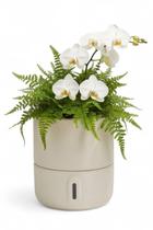Vaso de Planta Inteligente Autoirrigável Urbi P Areia Vaso de Planta Inteligente Autoirrigável Urbi P Areia